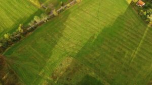 Aerial perspective of expansive green fields with a scattered tree line and a rural road.