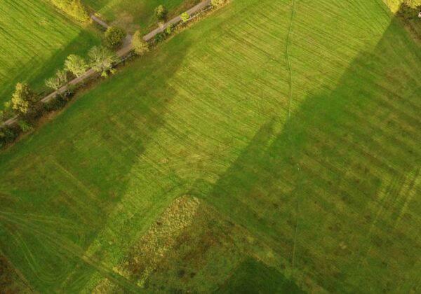 Aerial perspective of expansive green fields with a scattered tree line and a rural road.